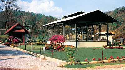 Geothermal production in Thailand