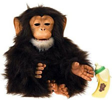 Cuddle Chimps
