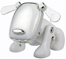 iDog