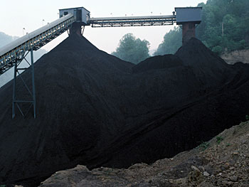 Coal